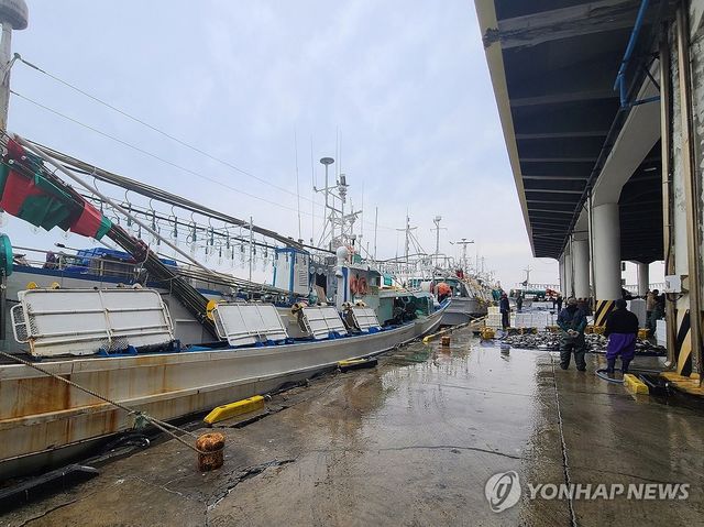 오징어 없습니다