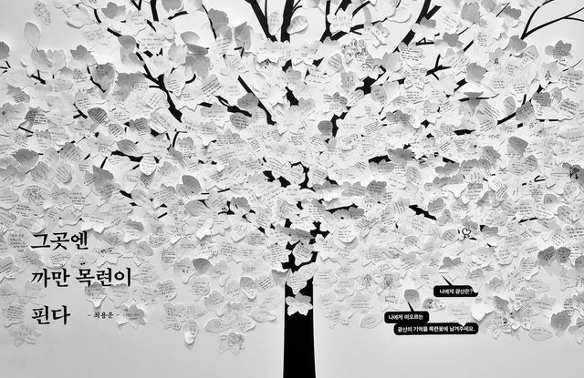 기록의 힘, 광산