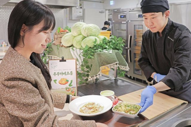 제주 양배추 매입