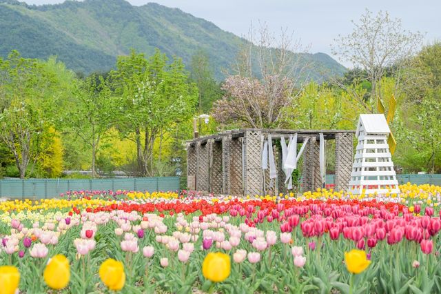 국립백두대간수목원 무지개정원