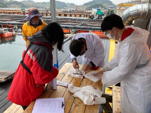 물고기 이동병원 운영