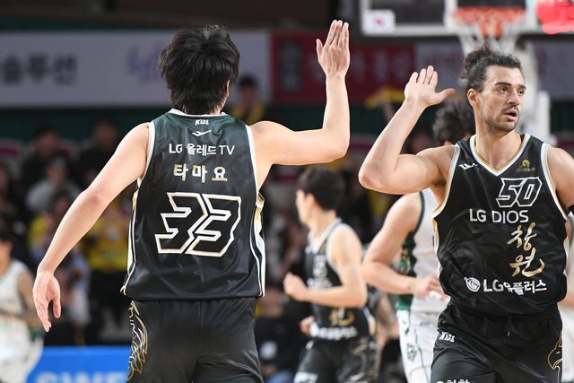 타마요와 마레이