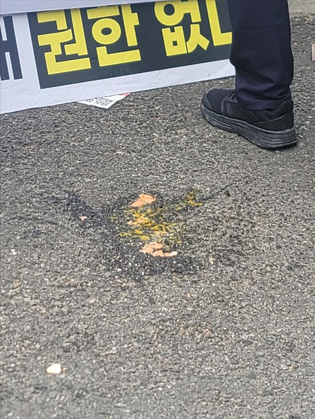 헌재 앞에 떨어진 날계란
