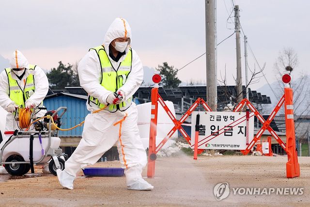 '확산하는 구제역' 소독약 살포하는 방역본부