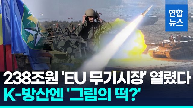 [영상] EU 무기 공동조달 238조원, K-방산 '까다로운 조건' 맞춰야 - 2
