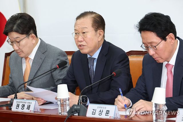 발언하는 권영세 비대위원장