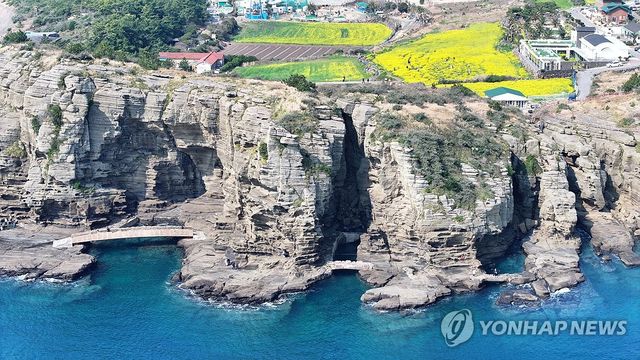 제주 서귀포의 봄