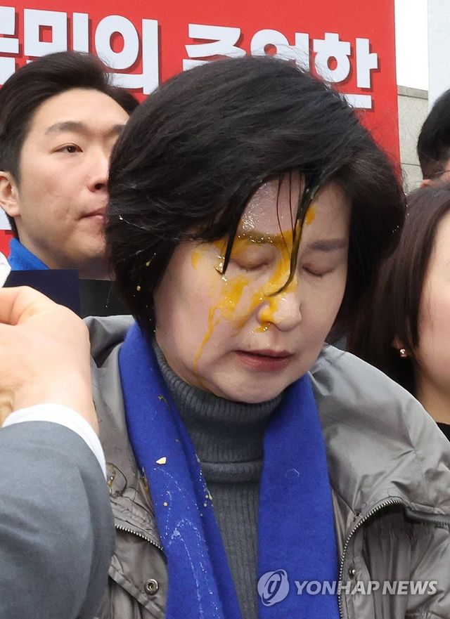 계란 봉변 당한 민주당 백혜련 의원
