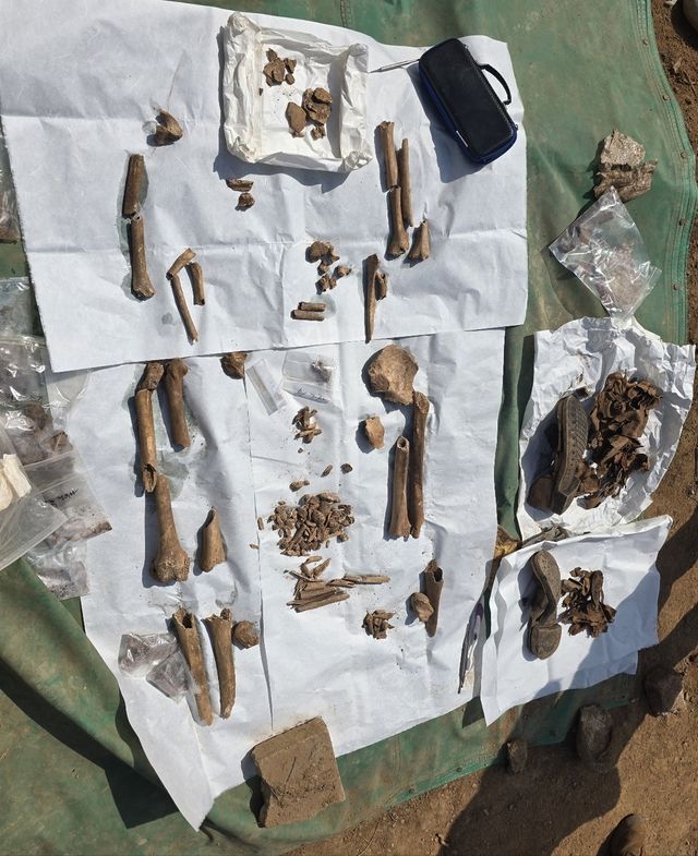 국방부 유해발굴감식단이 발굴한 유해
