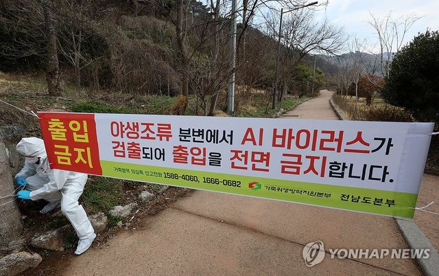 AI 항원 검출된 화순 세량제