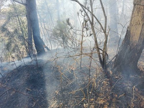 평창 용평면 화재 현장