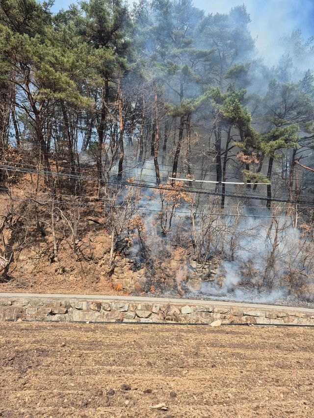 평창 용평면 산불 현장