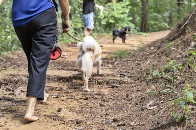 반려동물과 함께하는 맨발 걷기 체험