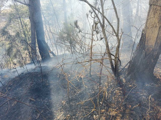 평창 용평면 화재 현장