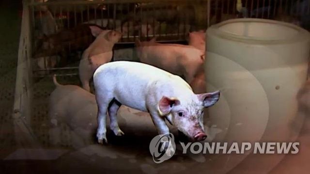 구제역 방역 비상