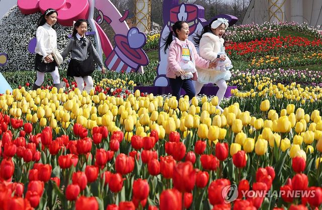 튤립과 함께 찾아온 봄