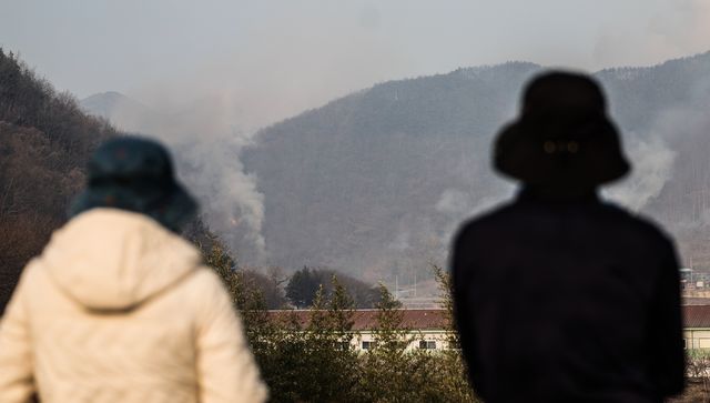 산청 산불 현장