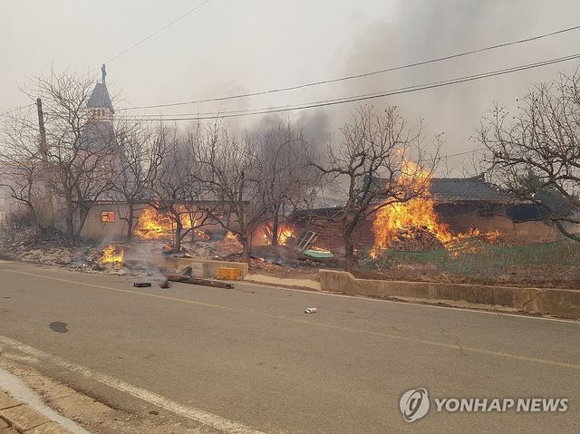 의성군 대형 산불…대응 3단계 발령