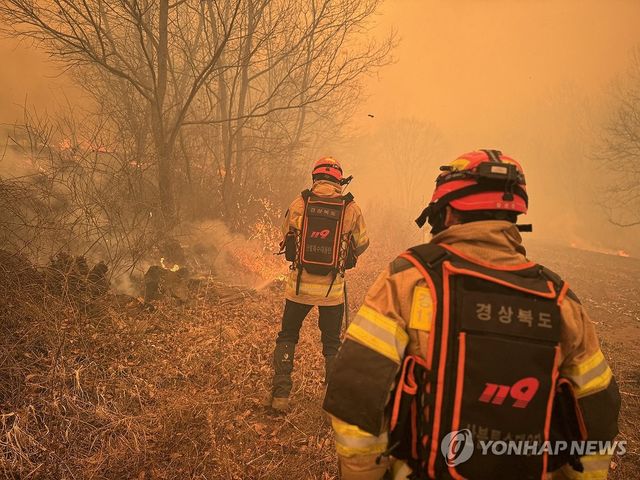 경북 의성군 산불…소방 당국 진화 중