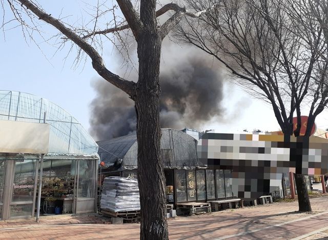 대구 수성구 연호네거리 비닐하우스 화재