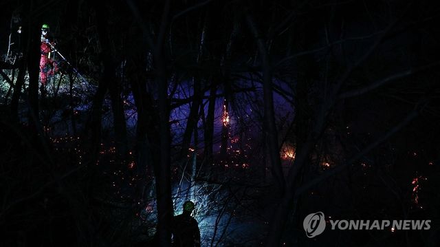 야간까지 이어지는 산불 진화작업