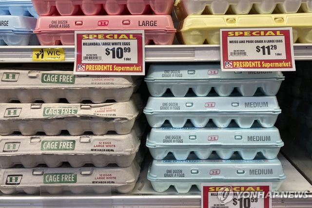 미국 마이애미 슈퍼마켓의 달걀