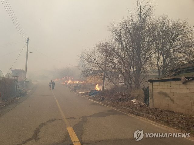 의성군 대형 산불…대응 3단계 발령