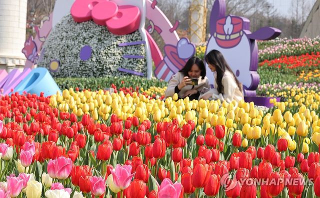 튤립 축제 즐겨요