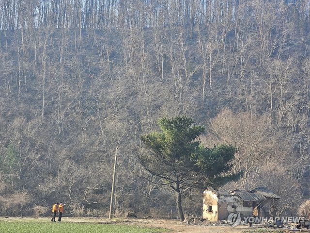 산불에 타버린 가옥