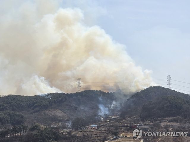함양 유림면 산불