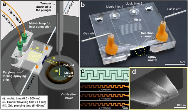 KAIST 연구팀이 개발한 TRCEM 기법 