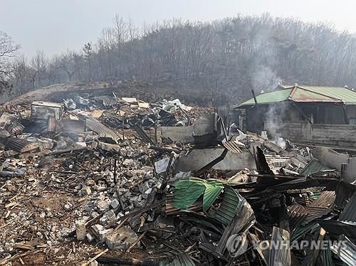 산불이 남긴 폐허