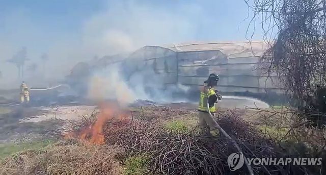 제주 영평동 야초지 화재 진화 작업