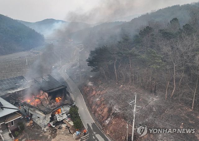 산불 번지는 의성