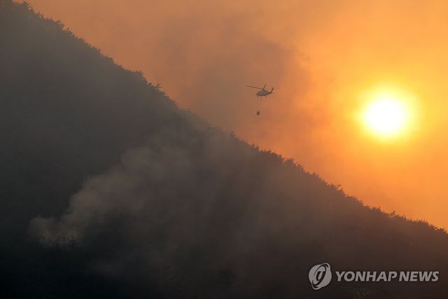 해 지기 전에 필사의 진화