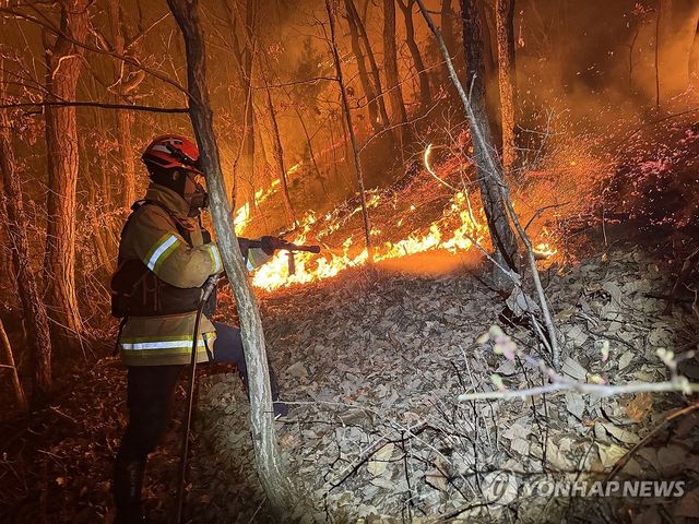 경북 의성 산불 진화작업 펼치는 소방대원