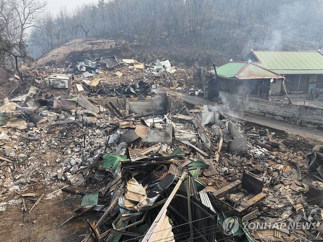 산불에 폐허로 변한 터전