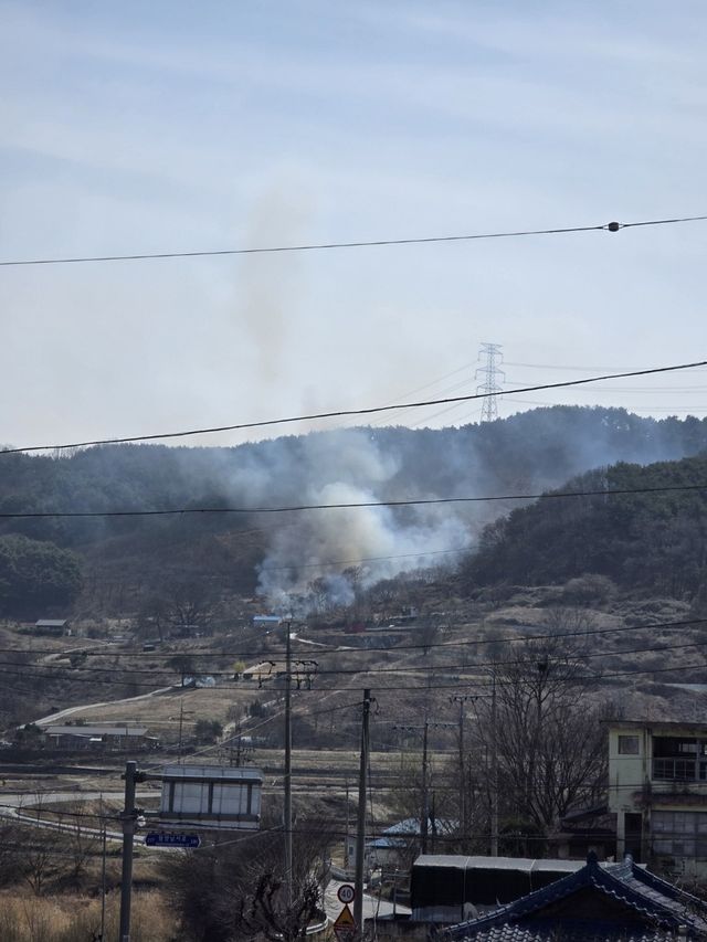 함양군 유림면 산불