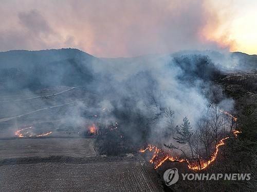 산불 번지는 의성