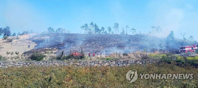 잿더미로 변한 제주 오름