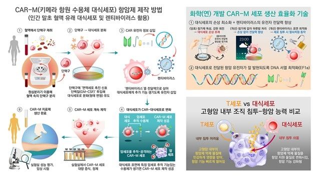 카-엠 항암제 제작 기술 