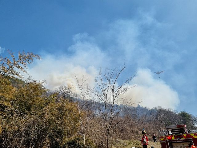 청성면 조천리에 난 산불