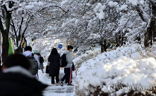 봄이 아닌가 봄