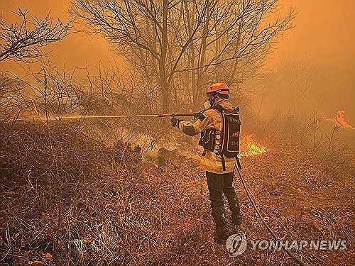 경북 의성 산불, 화재 진화 작업 펼치는 소방대원