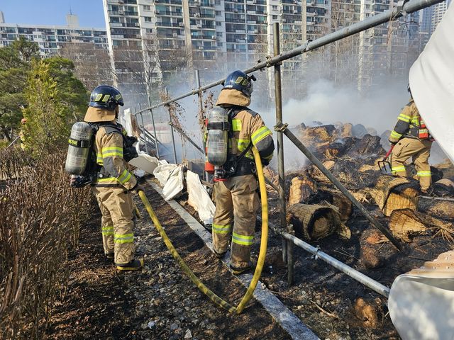 강남구 개포동 공원 화재