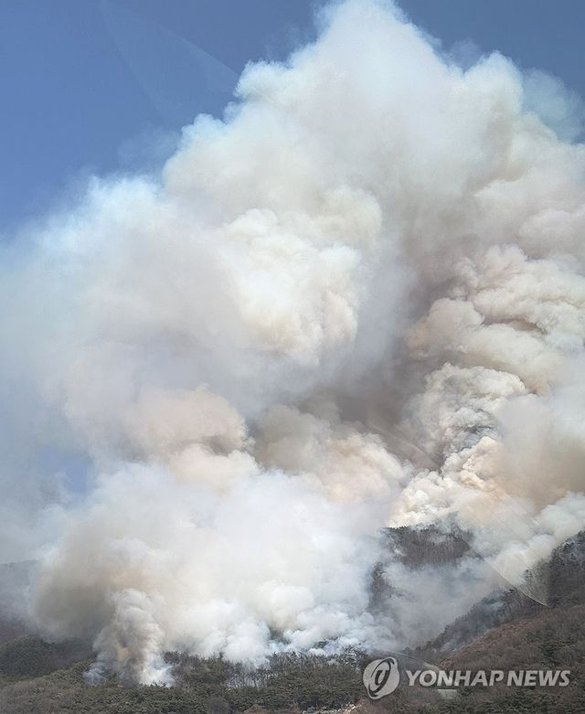 김해시 한림면 안곡리 야산서 산불