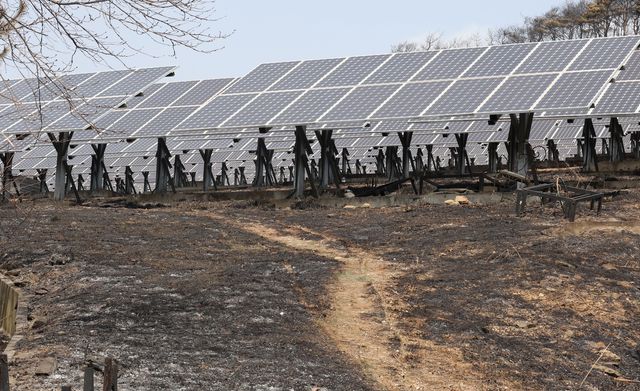 산불에 피해 입은 태양광 모듈