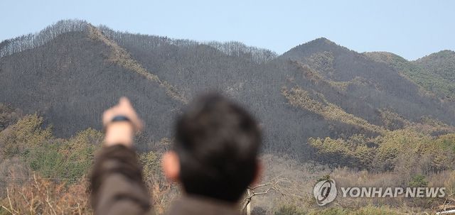 산청 산불…화마가 삼킨 흔적