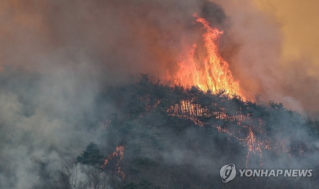 산림 초토화 시키는 산불