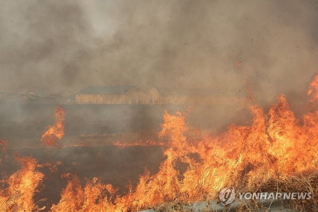 '의성 산불' 강풍에 불씨 옮겨붙은 마을